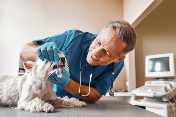 Best Walk-In Emergency Dentist in Keasbey, NJ